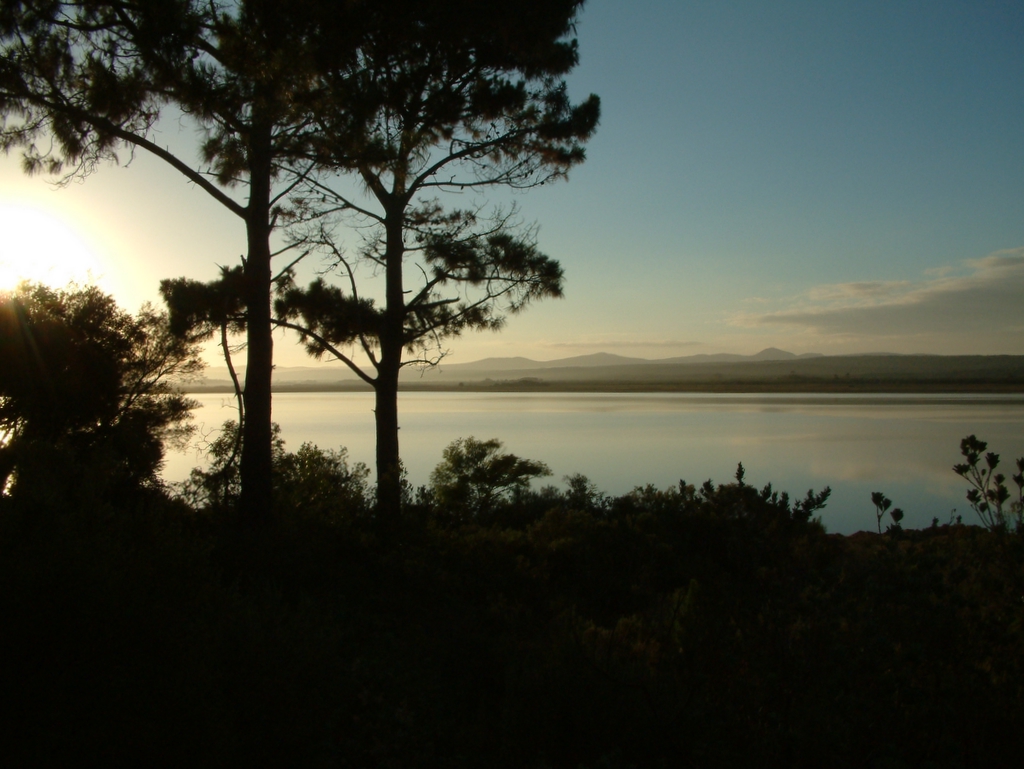 Hermanus, January 2006
